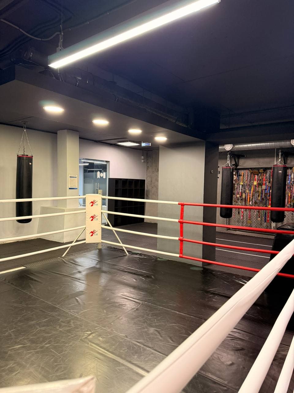 Зал BGS Academy — вид 6